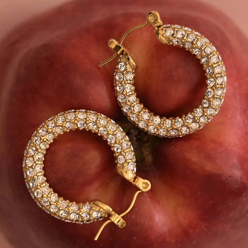 Diamond Studded Hoop Earrings