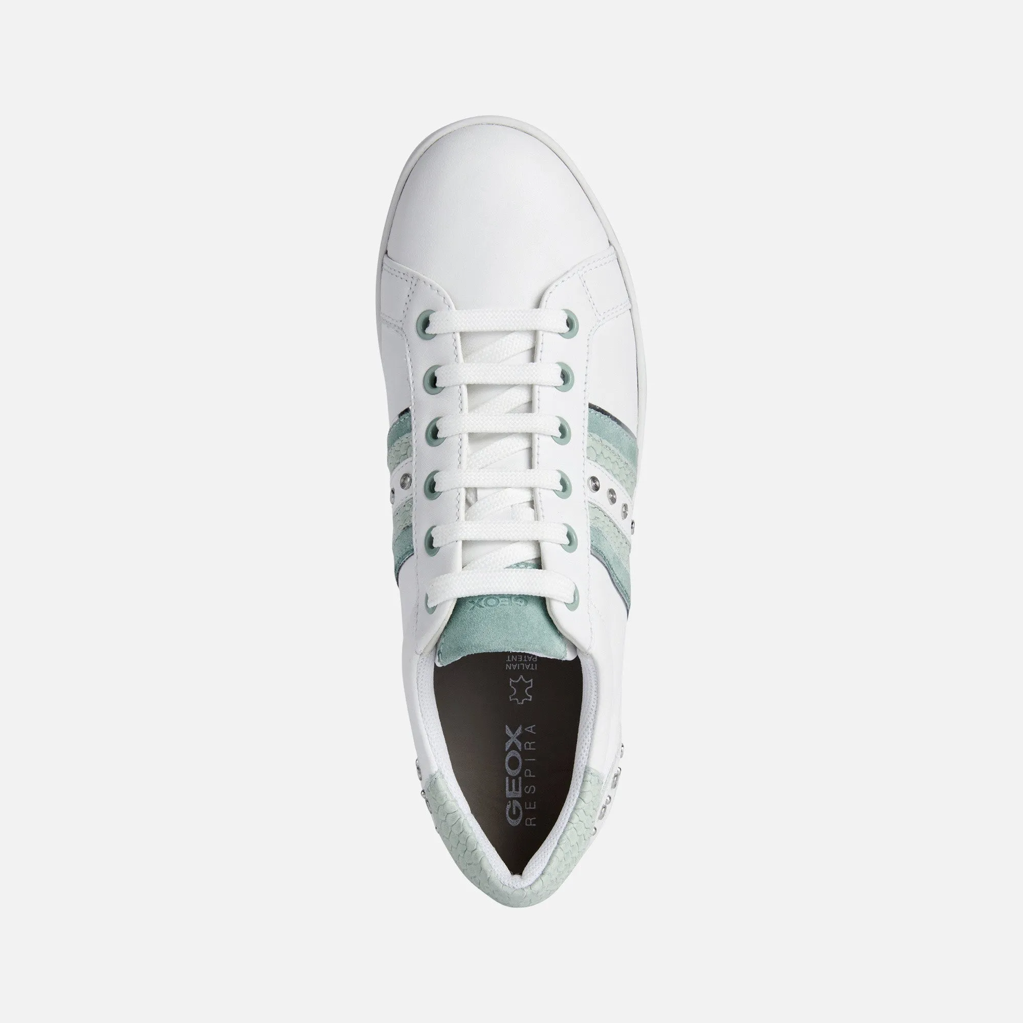 Geox Jaysen Ladies Sneaker Mint Trim