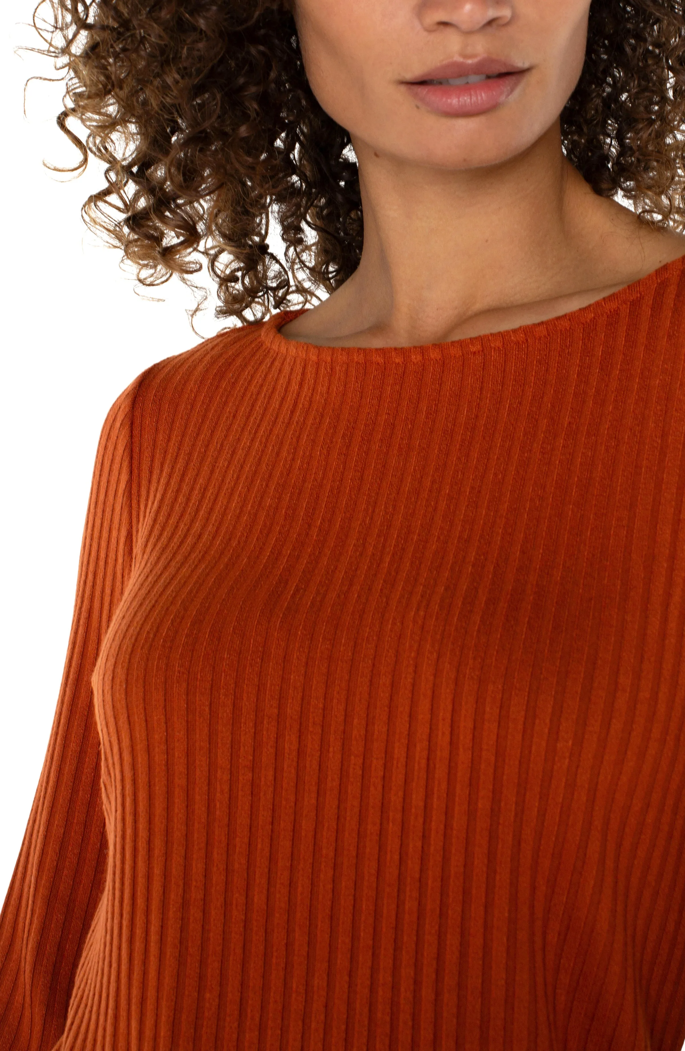 PETITE LONG SLEEVE BOAT NECK KNIT TOP