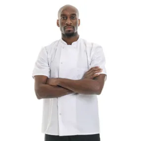 White Short Sleeve Chef Coat Madras - ROBUR