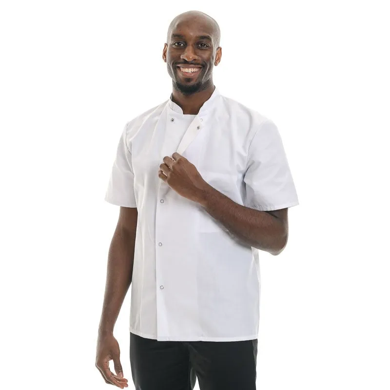 White Short Sleeve Chef Coat Madras - ROBUR